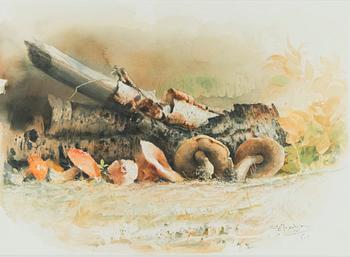Fritz Jakobsson, Forest Mushrooms.