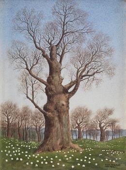 649. Oskar Bergman, Oak in a spring landscape.