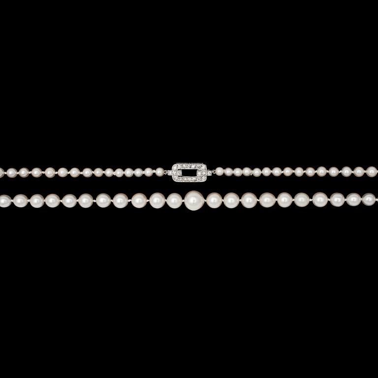 A cultured pearl necklace, 8,4-3,1 cm, platinum clasp set with diamonds.