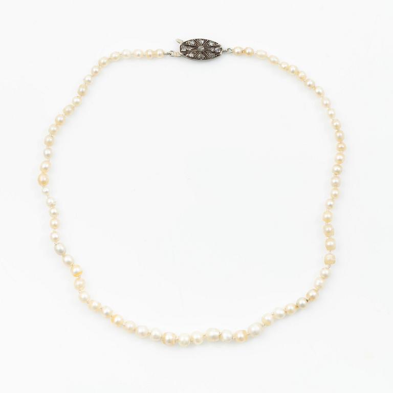Necklace with pearls. Accompanied by a report from GCS.