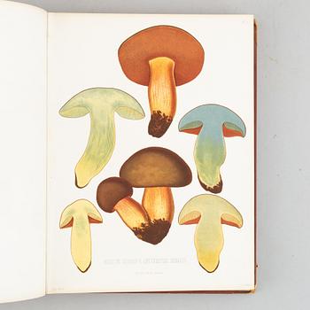 With 94 chromolithographs of mushrooms.