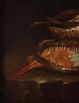 Spanish school, 17/18th Century, Still life with birds in nest / dead birds.