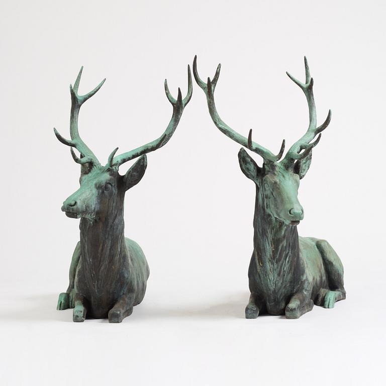 A pair of red deer.