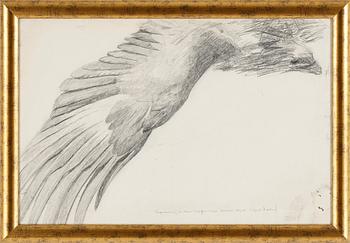 Bruno Liljefors · BRUNO LILJEFORS, Pencil on paper laid on board. Authenticated by Dr. Karl Asplund (1890-1978)
