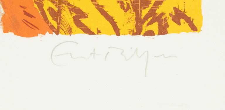 Ernst Billgren, kithograph in colours, signed 17/270.