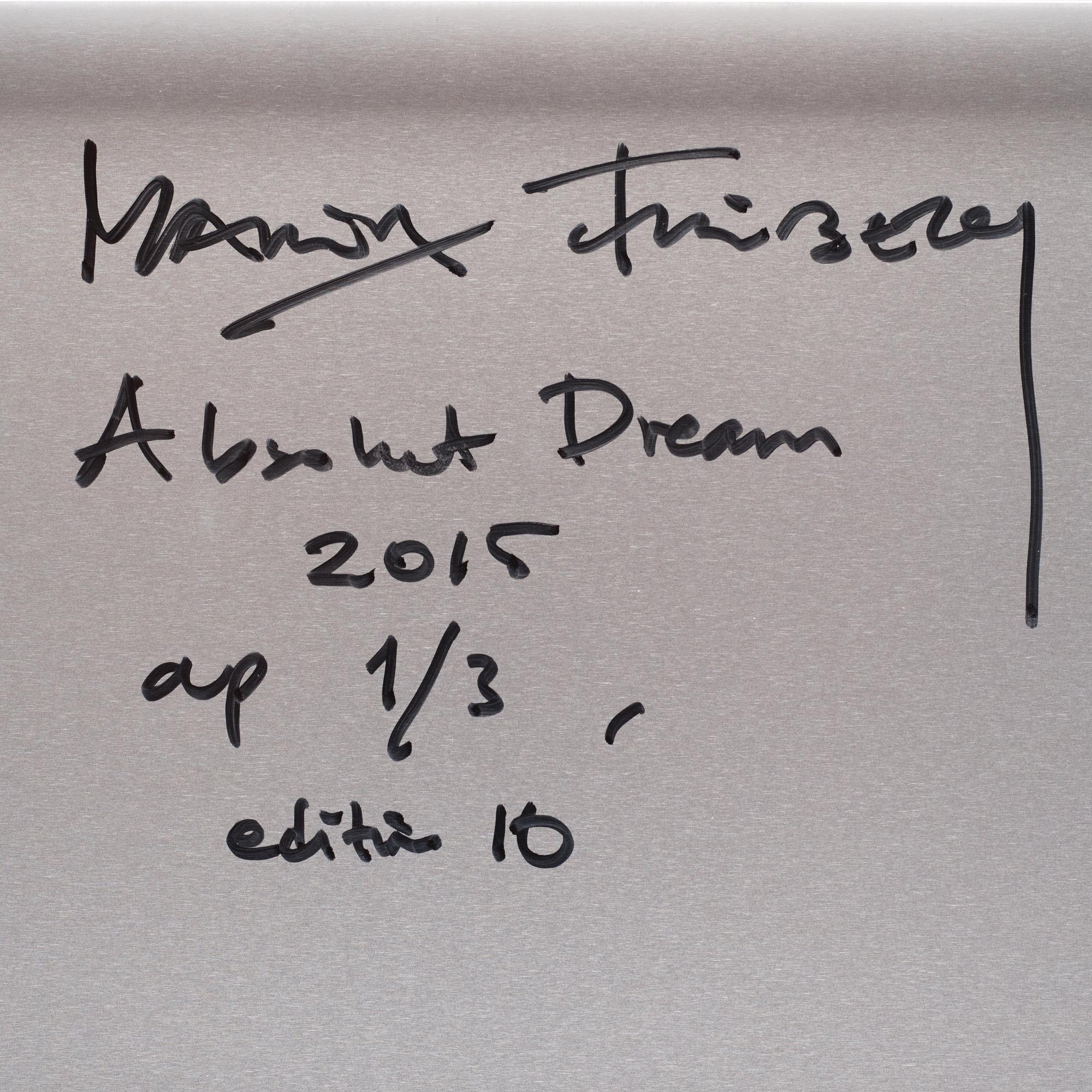 Maria Friberg, "Absolute Dream", 2015.