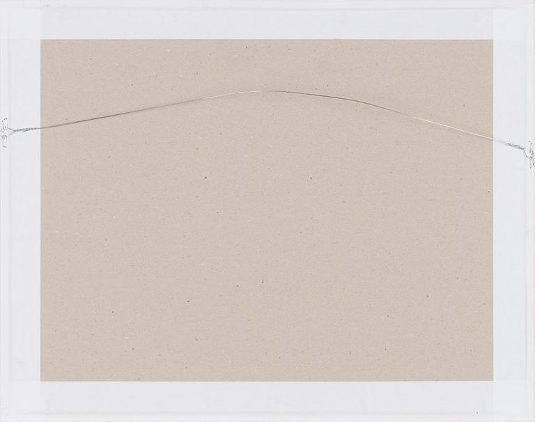 Pentti Kaskipuro, Mushroom.