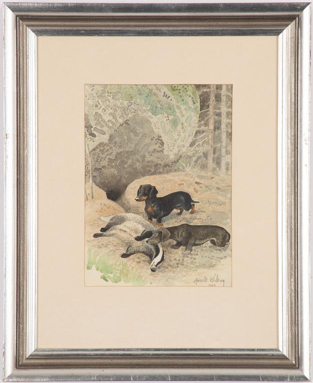 Harald Wiberg, Dachshounds with a badger.