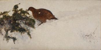 776. Bruno Liljefors, Capercaillie in winter landscape.