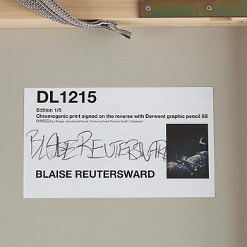 Blaise Reutersward, 'DL 1215', 2012.