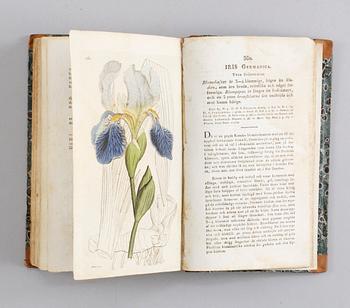 Johan Wilhelm Palmstruch, "Svensk botanik", 8 volymer.