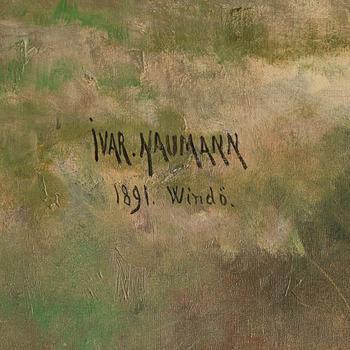 Ivar Naumann, Motif from Windö.