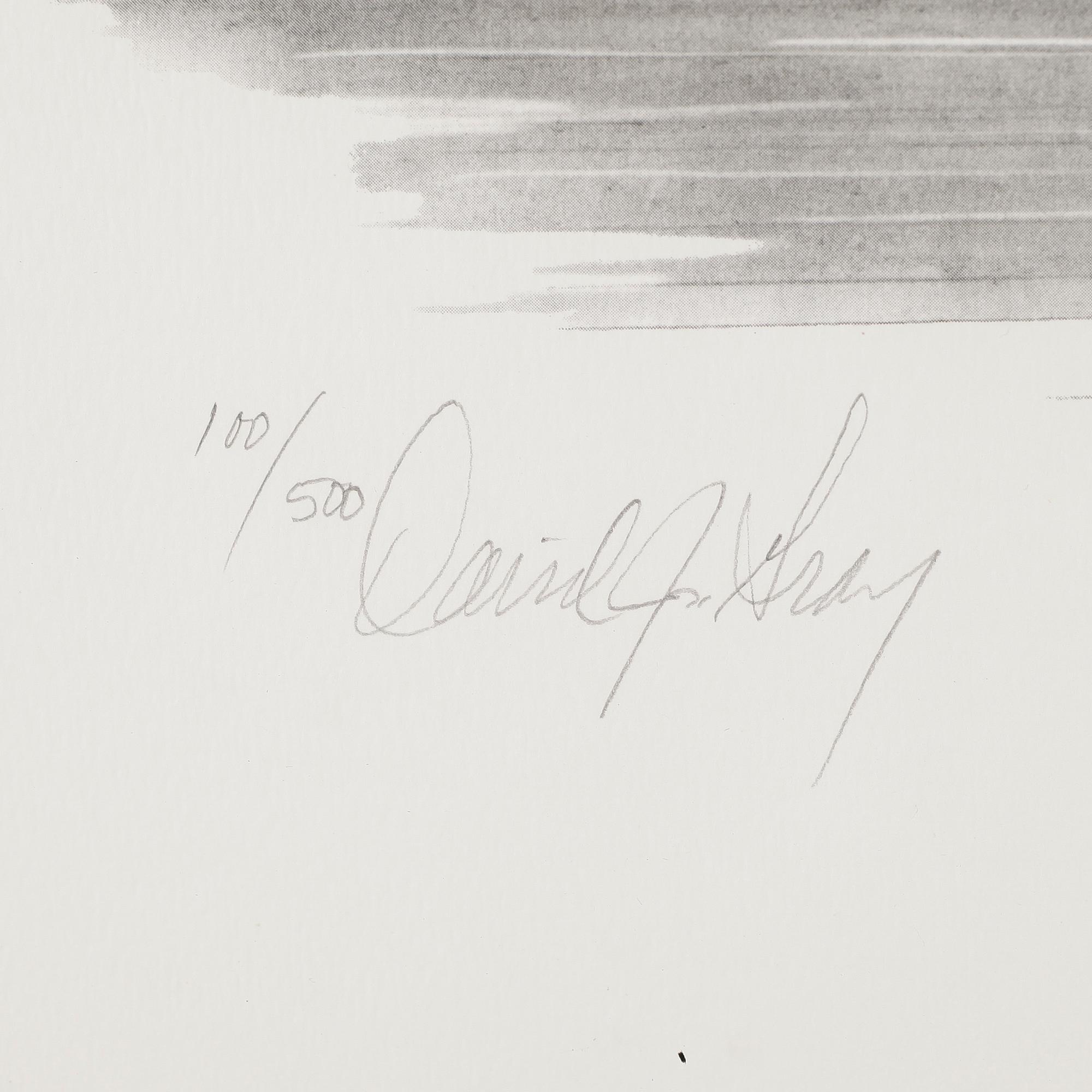 DAVID GRAY, 2 st, litografier, signerade samt med autografer bla Rick Mears, numrerade 100/500 resp 385/500.