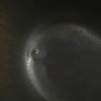 SKÅL, stengods, Gunnar Nylund, Rörstrand, 1900-talets andra hälft.