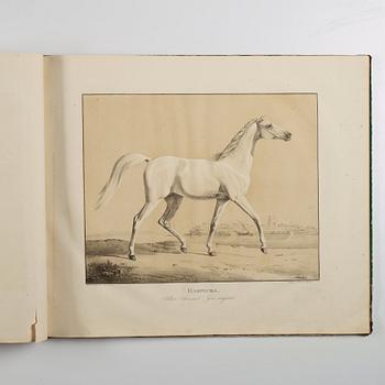 BOK: Rudolf Kuntz: Abbildungen Königlich Württembergischer Gestütts Pferde 
von orientalischen Racen. [1-3].