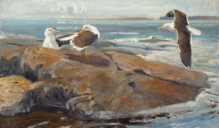 Lennart Segerstråle, SEAGULLS.