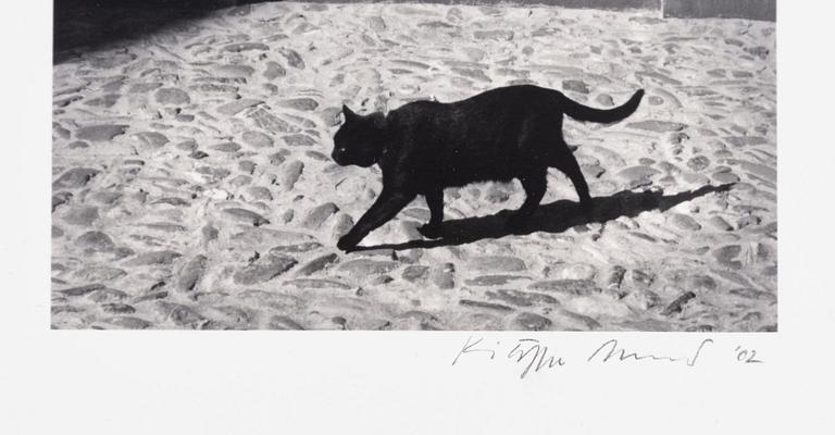 Kristoffer Albrecht, motif from France, 2002.