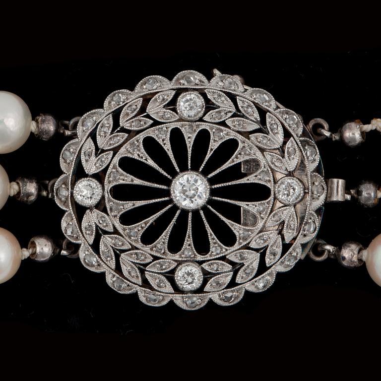 A 3-strand cultured pearl necklace.