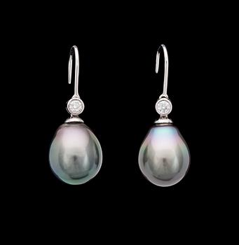 957. A pair of cultured Tahiti pearl and diamond earrings, app. 12,5 mm.