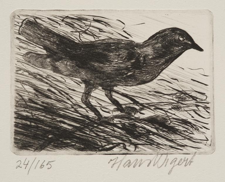 Hans Wigert, Bird.