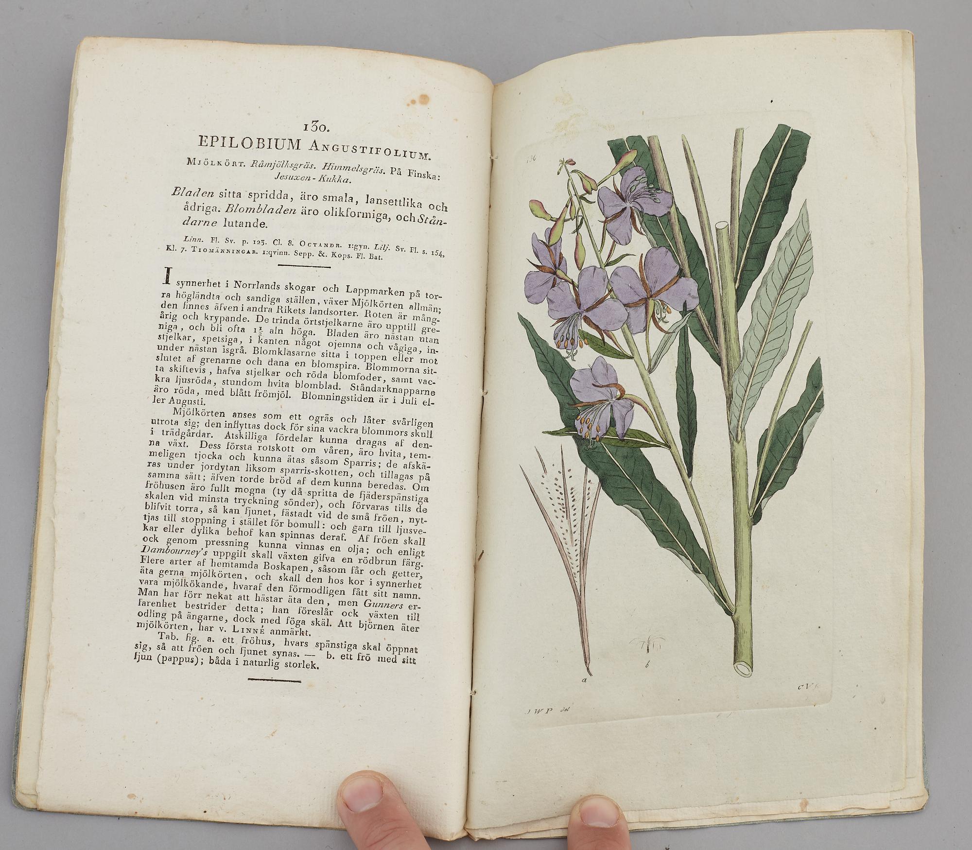 JOHAN WILHELM PALMSTRUCH, "Svensk Botanik, vol I-V. 1803-1805.