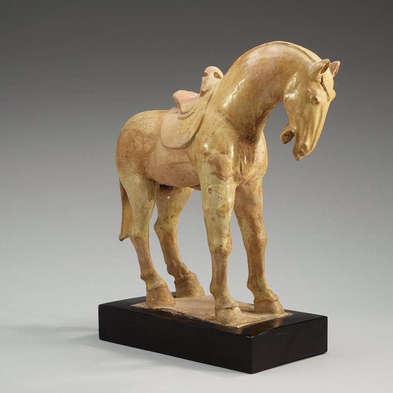 A yellow glazed pottery figure of a horze, presumably Tang dynasty (618-907).