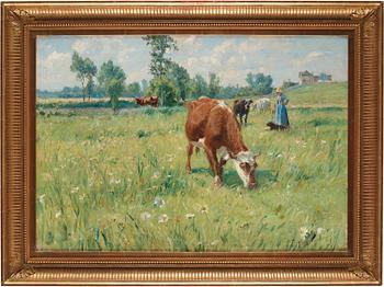 Carl Trägårdh, Grazing cattle.