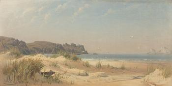 Albert Berg, Coastal Landscape with Seagulls.