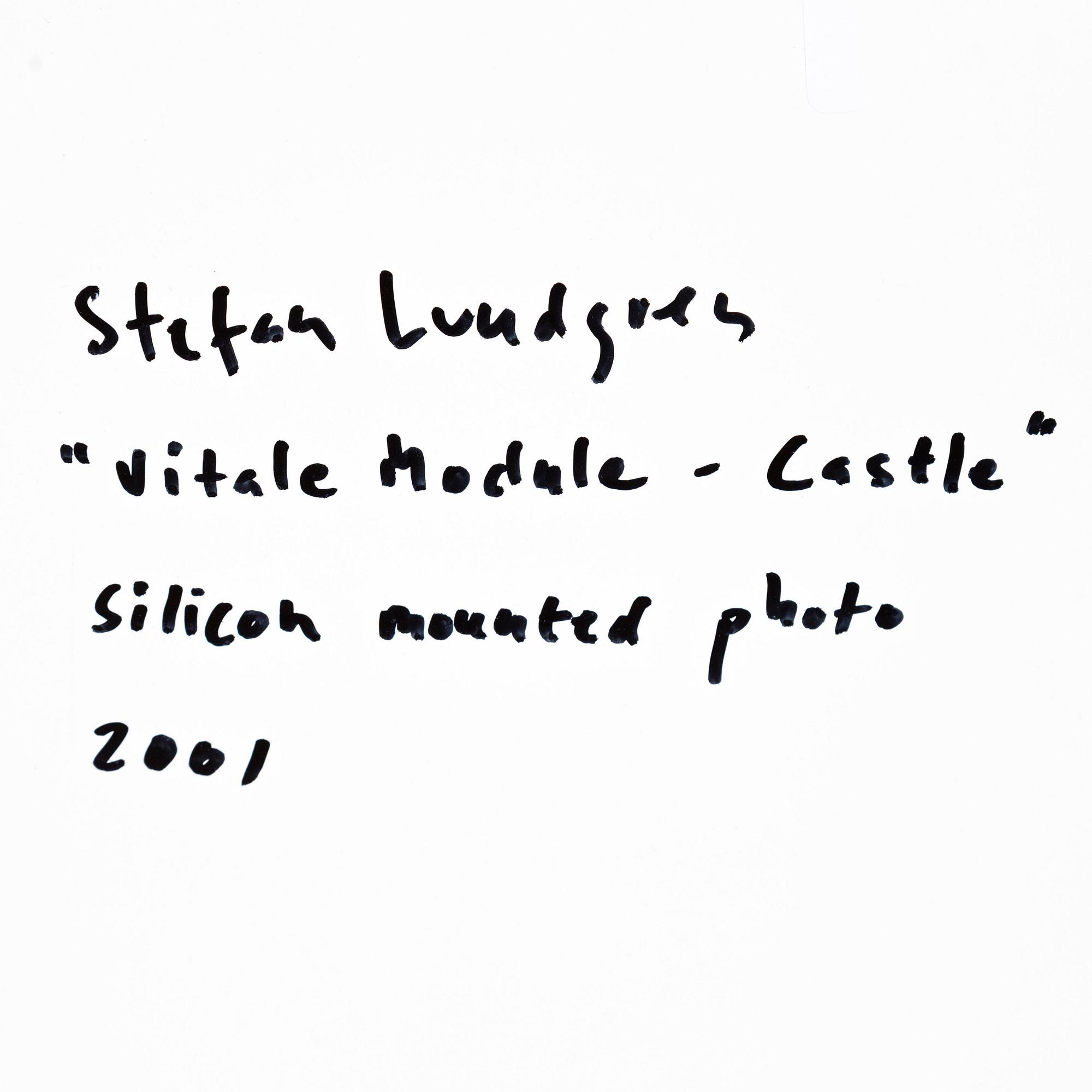 Stefan Lundgren, "Vitale Module-Castle", 2001.