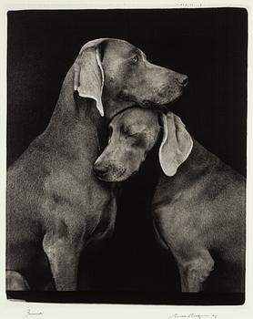 William Wegman, archival pigment print, 2009, signerat. Numrerat 119/1500 a tergo.