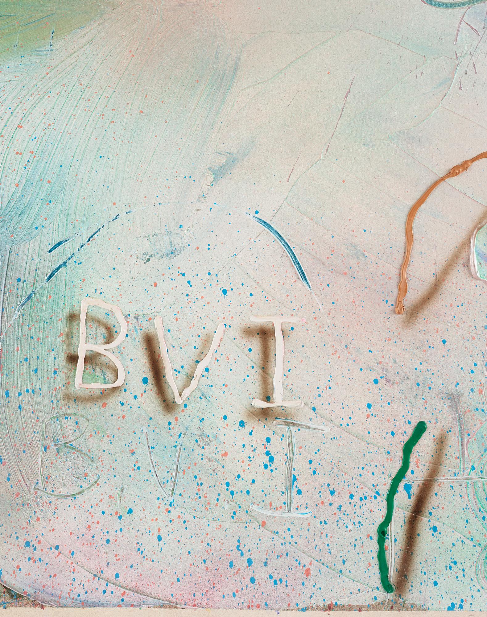 James Havard, "Back Fat For Cane Garden Bay BVI".