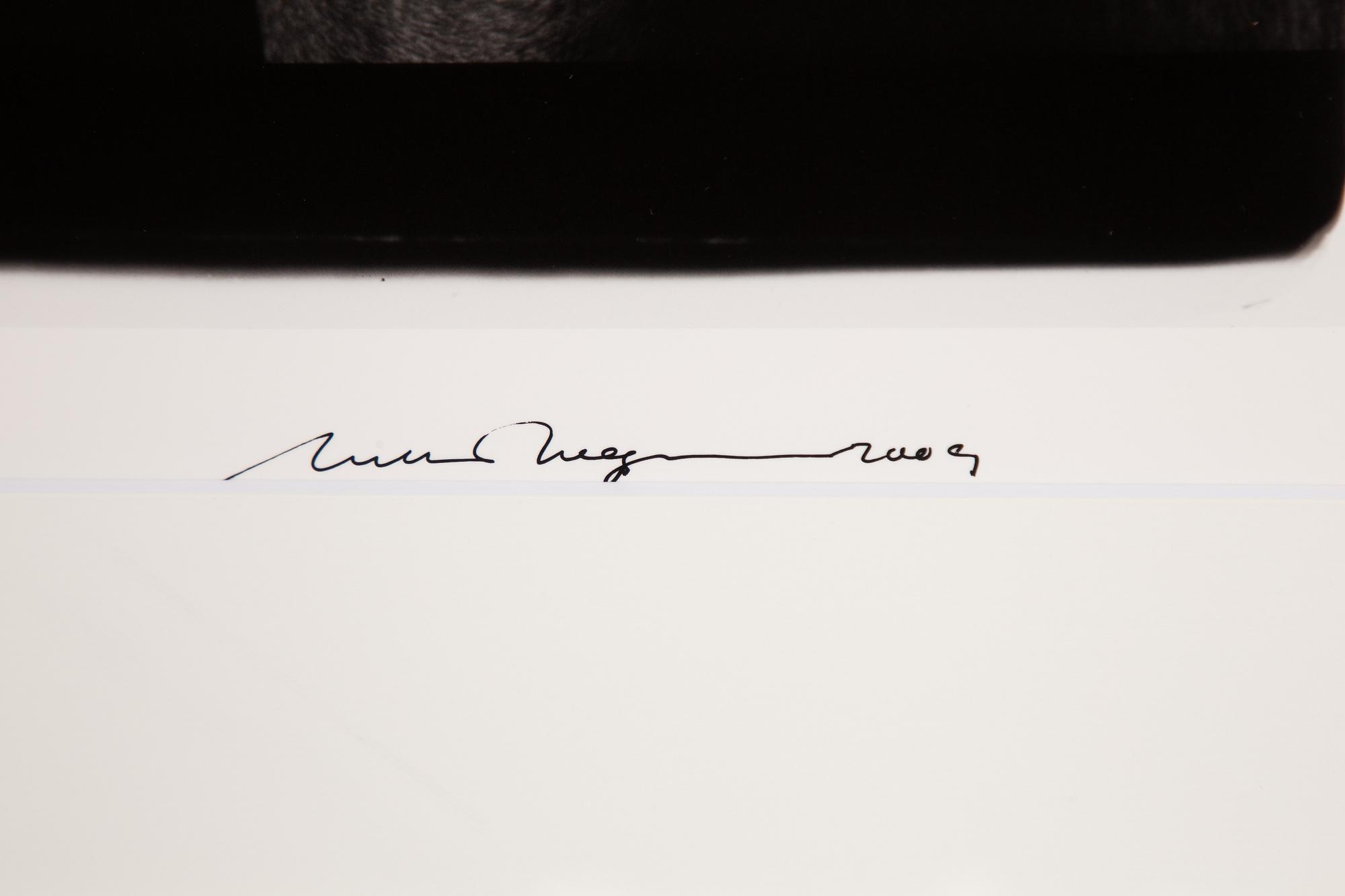 William Wegman, "Friends".