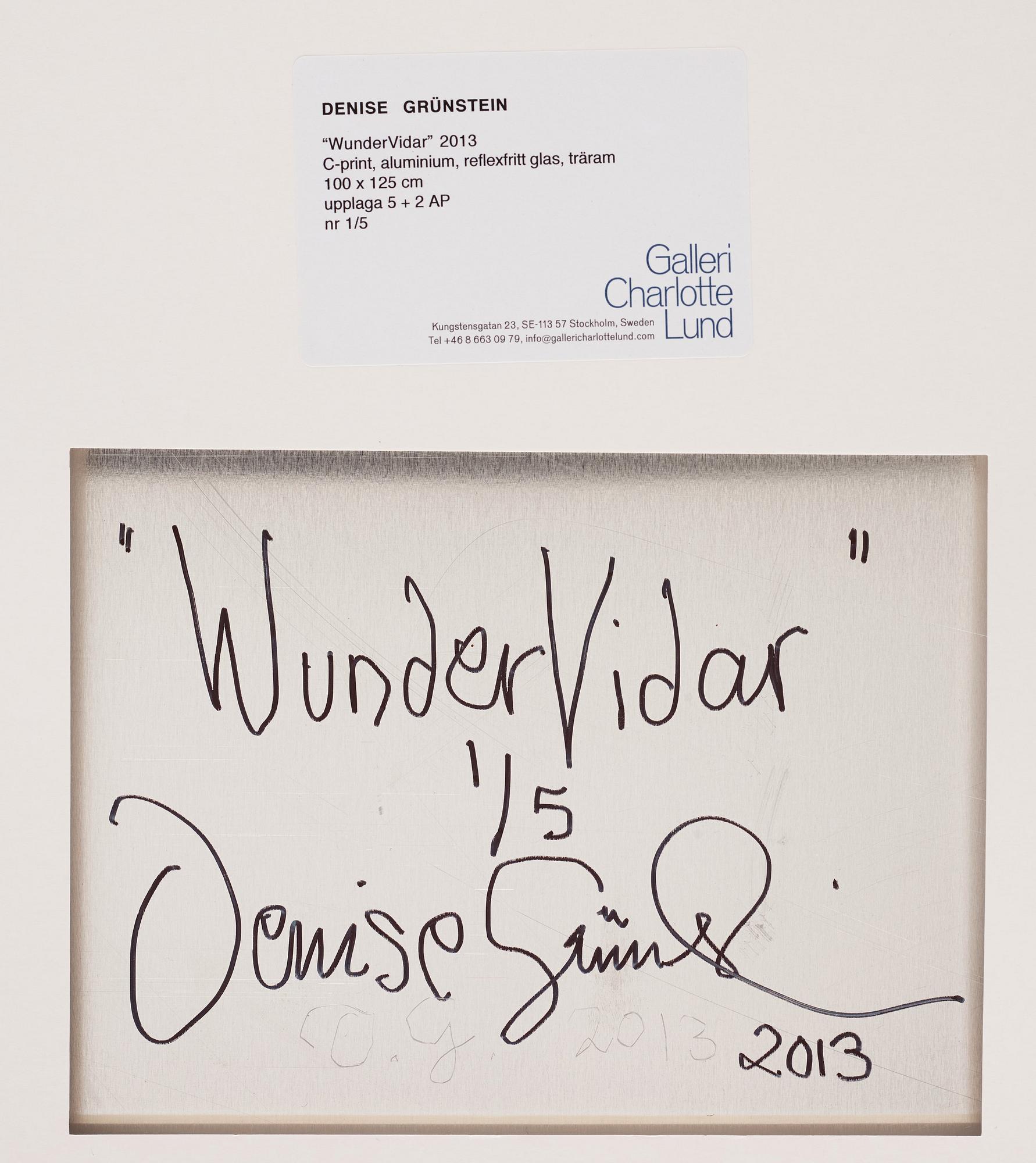 Denise Grünstein, 'WunderVidar', 2013.