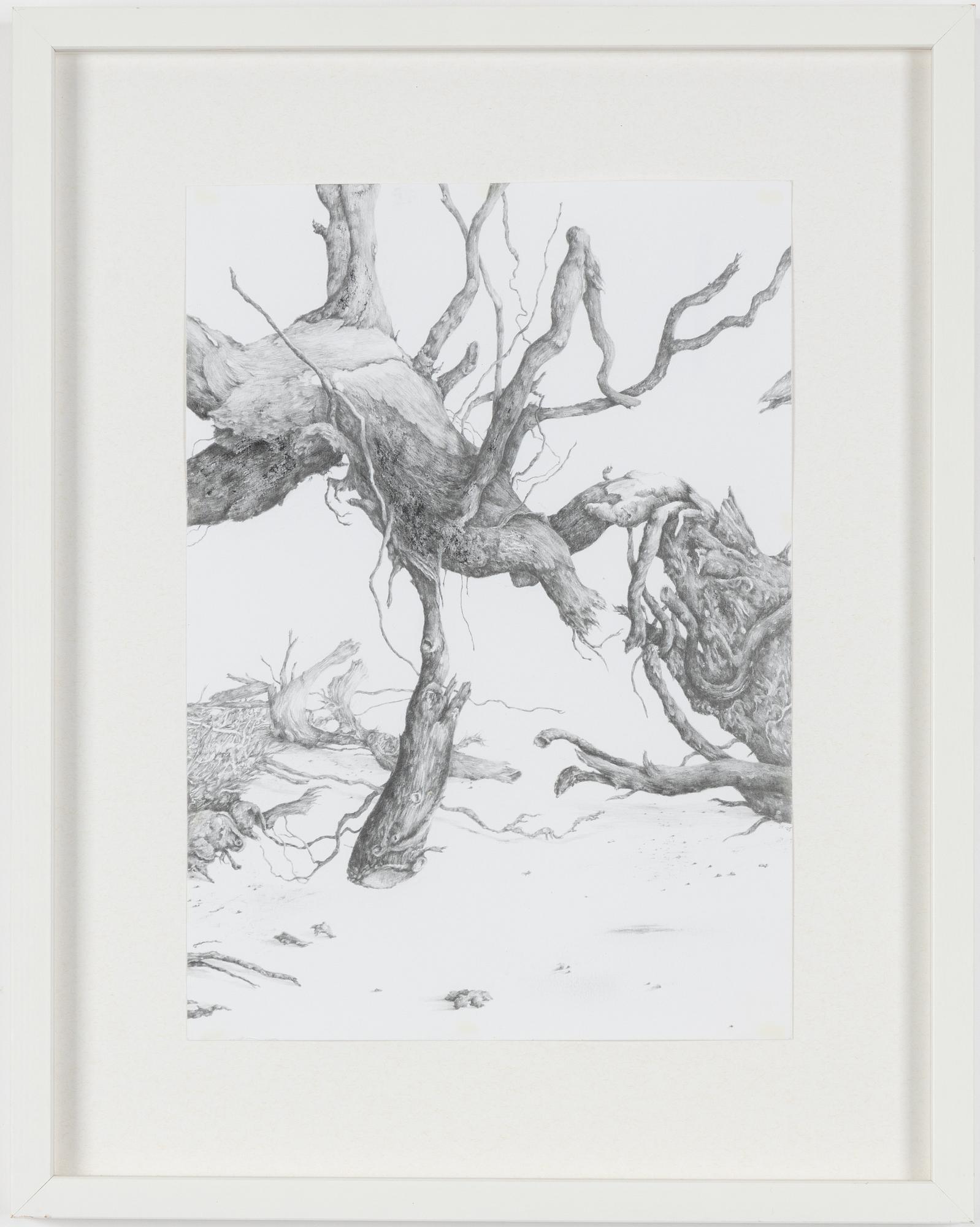 Johanna Karlsson, Untitled.