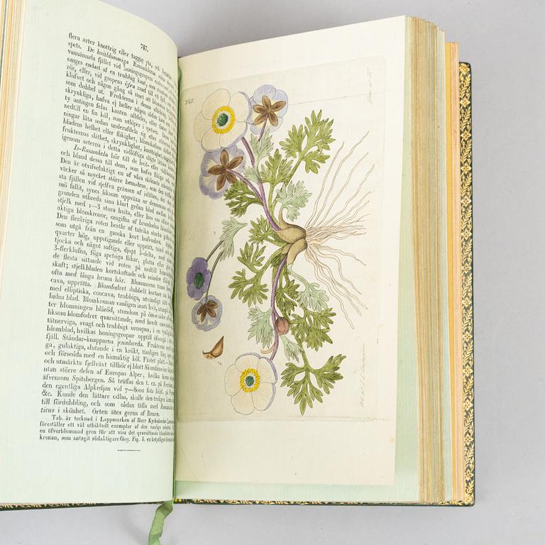 A beatuiful copy of ”Svensk botanik”, with 774 hand-coloured plates.