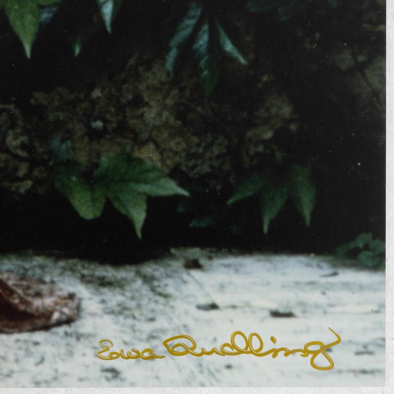 Ewa Rudling, "Nastassja Kinski,Paris".