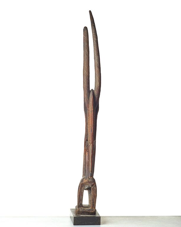 SKULPTUR, huvudprydnad, Tshiwara/Ciwara (stiliserad antilophane), trä, Bambara-stammen, Mali, höjd 94 cm. På sockel.