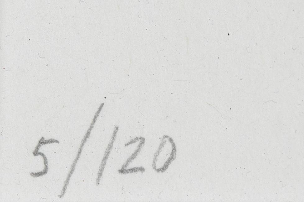 Makode Linde, färglitografi, signerad och numrerad 5/120.