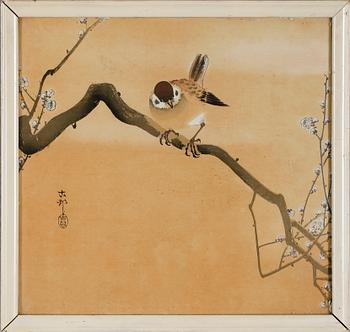 TRÄSNITT, 4 st, kolorerade, Japan, 1900-tal.