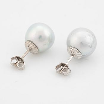 Cultured South sea pearl earrings.
