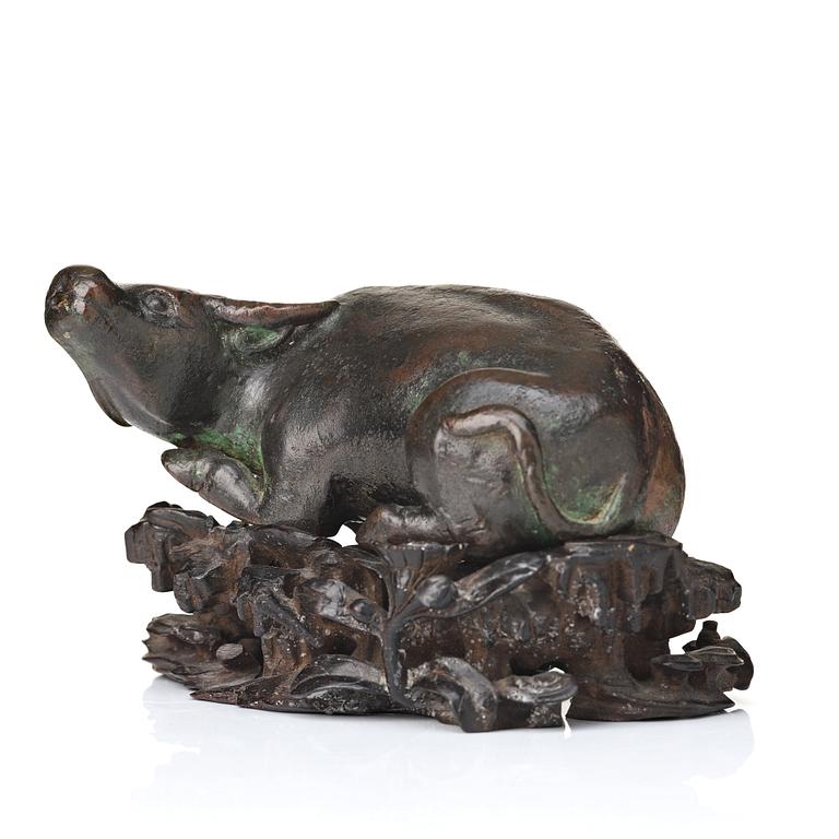 A bronze scultpure of a water buffalo, Ming dynasty (1368-1644).