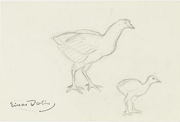 Einar Jolin, Birds.