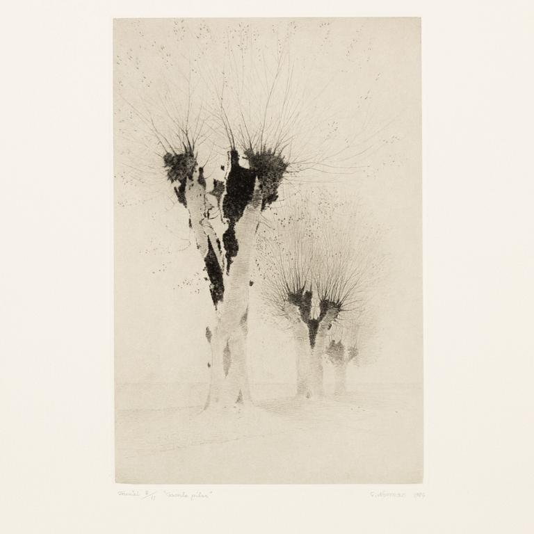 Gunnar Norrman, Drypoint engravings, 9, signed and numbered.