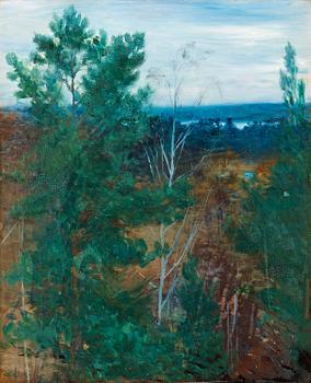 1. Robert Thegerström, Forest landscape, Dalarö.