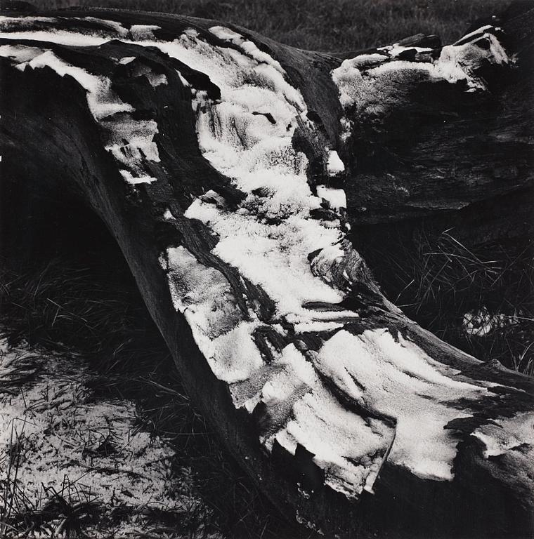 Ansel Adams, Utan titel, troligen 1950-tal.