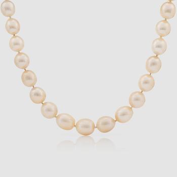 1360. A cultured, slightly baroque, South Sea pearl necklace.