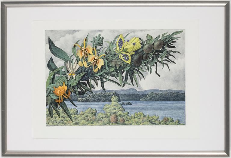 KARL AXEL PEHRSON, a colour lithograph, signed, dated -90.