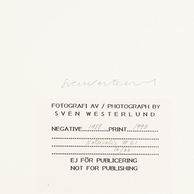 Åke E:son Lindman & Sven Westerlund, mapp, 2 + 2 fotografier, signerade 16/20.