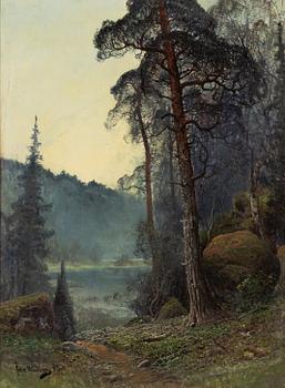Johan Kindborg, Dimma över sjön.