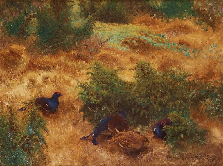 Bruno Liljefors, Autumn landscape with black grouse.